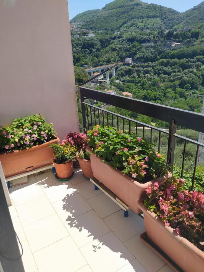 B&B Antonietta Vico Equense Exterior photo